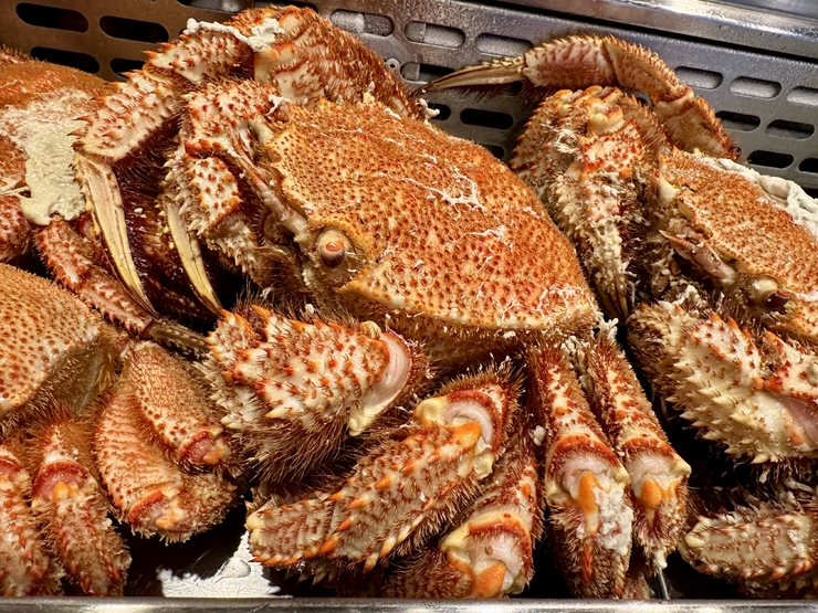 5000 yen course with 8 dishes including crab + 2000 yen all-you-can-drink