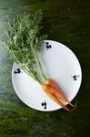高知の新鮮な野菜をハーブを効かせてさっぱりと仕上げました。