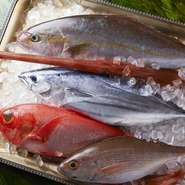 カツオを筆頭に季節ごとの旬の魚を高知の漁師さんから直送してもらってます。新鮮さ抜群です。
