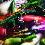 農家直送の高知のオーガニック野菜を堪能していただけます。