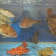 食通のお客様も、そうでないお客様も
満足していただけるよう努めさせていただいてます
遠方からも度々訪れるほど定評があります
本当に旨いものをぜひご堪能ください