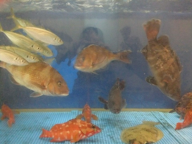 贅沢グルメ