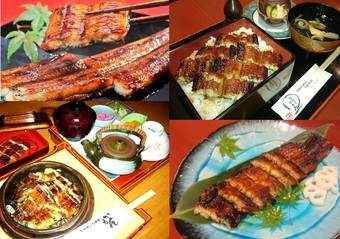 炭火焼きうなぎ・うな重・ひつまぶしなど