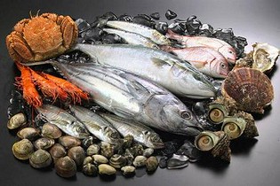 「魚介類全般」の扱いが得意です