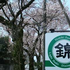 花見にピッタリ！