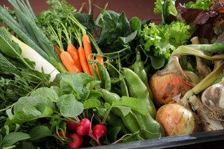 自家菜園で無農薬にこだわり栽培したお野菜を使って