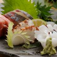 その日の獲れたての味わいを満喫できるおすすめの一皿。お酒との相性抜群！　ゆっくりとご賞味あれ。