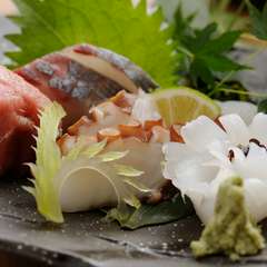 地元明石の地魚にこだわり『お造り盛合せ　5種』　