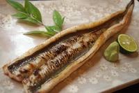 当日入荷したアナゴをオーダーが来てから捌き焼きあげます
・穴子天ぷら：1200円
