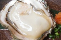 手のひらサイズの大きさの岩牡蠣。身はサッパリとして食べやすいので、是非お試しを。