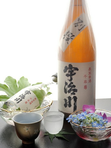 日本酒も豊富に取り揃えています。こちらは長生自得『宇治川』