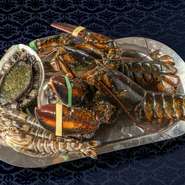 新鮮な「オマール海老」や「鮑」などの魚介類をはじめ、「鴨のフォアグラ」、「九州産黒毛和牛」など、極上の素材を使用。その美味しさをさらに引き出すよう、工夫を凝らして焼き上げた鉄板焼は贅沢な逸品です。