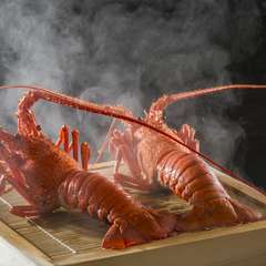 伊勢海老料理専門店