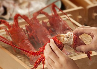 活伊勢海老料理専門店