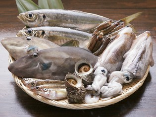 日本海で獲れる新鮮な朝獲れの魚介を仕入れています