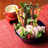 朝採れの鎌倉野菜をシンプルに特製のバーニャ・カウダのソースにつけてお召し上がり頂きます。
瑞々しく色鮮やかな鎌倉野菜は食しても眼でも楽しんで頂けます。