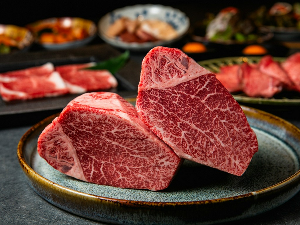 女性に人気な【飲み放題含む ヒレづくしコース】