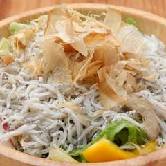 湘南名物の釜揚げしらすを使用『どっさりしらすの和風サラダ』