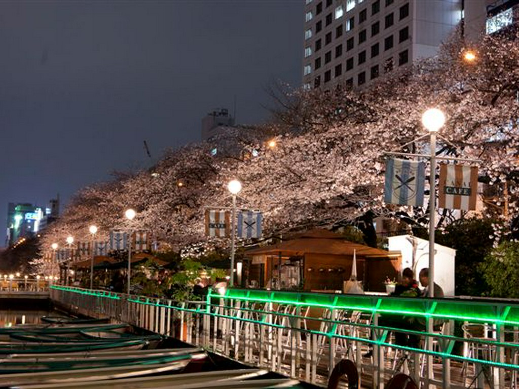 贅沢なお花見におすすめのカフェレストランです