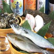 新鮮な魚介と自慢の日本酒で。