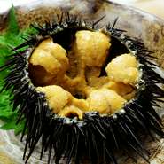 八戸漁港から仕入れることで、同じ食材でも少し長めに（遅い時期まで）味わえるそう。写真は『ガゼウニ』。実は“ガゼ”とはウニのこと。ネーミングに温かみも感じられます。