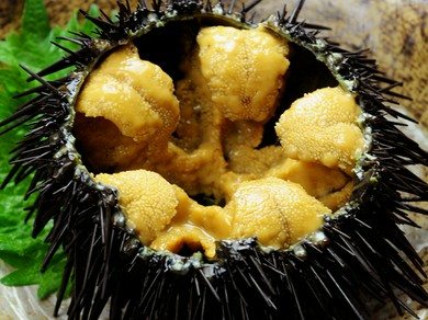 八戸漁港からの新鮮な魚介をご堪能下さい！
