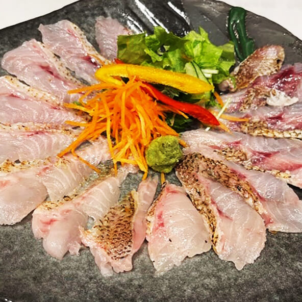Kursus ikan blackthroat seaperch