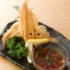 料理に合う地酒を常時40～50種類用意しています