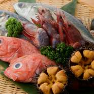 「鯖」は、魚の大きさ、脂ののり方、夏か冬か、気温や湿度などで、しめた時の味が変わります。長年の経験と勘によって、塩の塩梅、酢の時間を正確に見極められるようになる、おもしろい食材です。