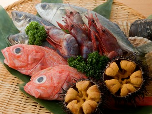 季節、天候、魚の状態によって、調理が変わる「しめ鯖」