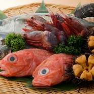 東北、宮城を堪能できる地魚と地酒を豊富に取り揃えています