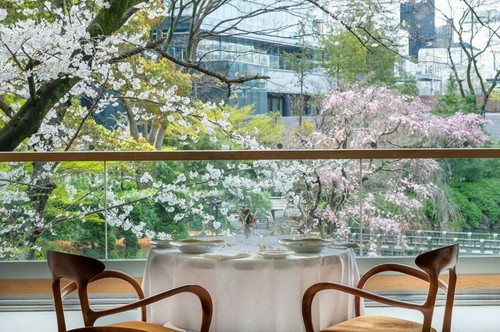 季節を楽しめる店内