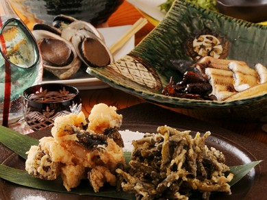 土佐湾の海の幸、四万十川の川の幸、高知の山の幸をじっくりと…