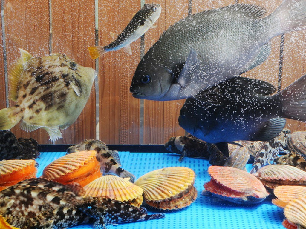 旬の魚介を使った“ほの花”オリジナルのお料理を