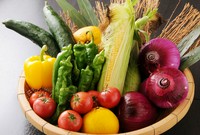 海の幸を個室（掘りごたつ）で是非、ご堪能ください