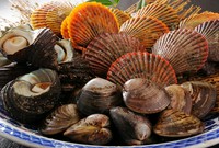 土佐黒牛ヒレステーキ:3850円～
土佐はちきん地鶏もも肉焼き:1050円
牛すじ煮込み:630円
牛タン塩焼き:830円
鶏皮せんべい:440円
他 多数