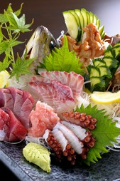 旬の海の幸が満載！　『獲れたて新鮮魚貝類のお造り』　（五品）