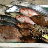 能登は、日本海の外海と内海から、様々な魚が獲れる最高の漁場です。そこで「これはあの人の店に届けたい」、そう思える魚を選び抜いて届け、お客さんが笑顔になる魚にこだわり続けます。