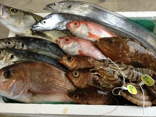 能登の魚の旬を見極める、日本海の魚の誇り