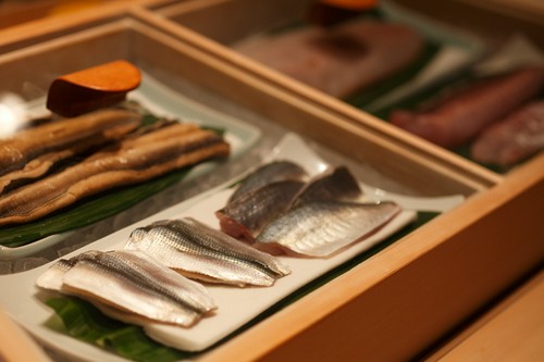 江戸前の仕事が施された、魚介が並ぶネタ箱
