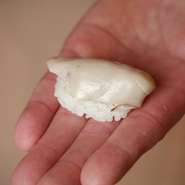 珍しい牡蠣の握りは、その持ち味を最大限引き出すため白シャリで提供。牡蠣のミルキーな味わいが秀逸です。
