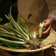 ワサビの名産地、伊豆の有東木の農家さんより、直送されるワサビは茎や葉っぱつき。市場では茎や葉は処理されてから売られているため、なかなかお目にかかれない逸品です。【鮨　小野】では茎や葉も煮物などに使用。