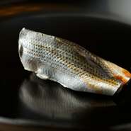 職人の仕事が最も顕著に出るといわれる『小肌』。【銀座 鮨青木】では、その日の魚の状態や天候などで締め具合を微妙に調整しています。口の中に爽快な後味を残す一品です。
