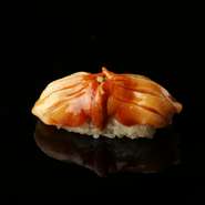 日本一との呼び声も高い閖上産の赤貝。まるまる太った肉厚の身が、口の中でプリっと弾ける食感が絶妙です。