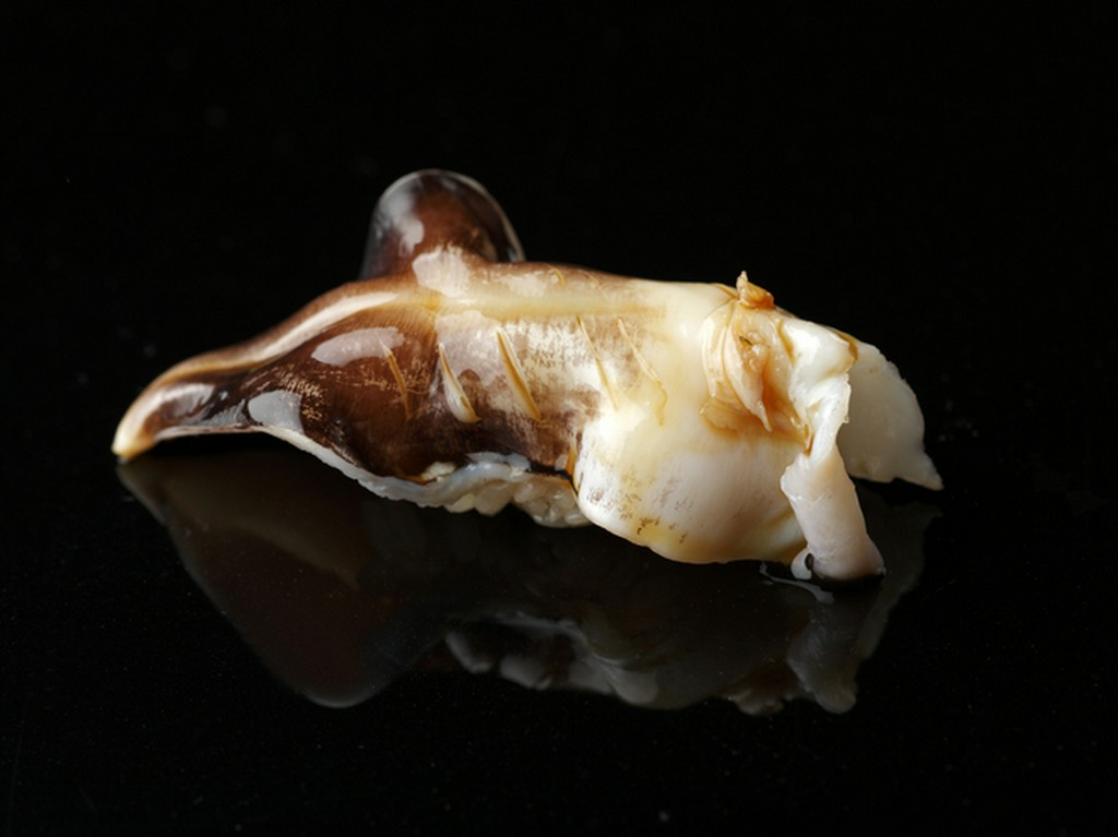 愛知県産の鳥貝