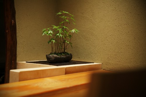 和の装飾を散りばめた店内