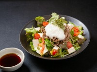 出雲そばととろろがマッチ！レギュラーサイズ
