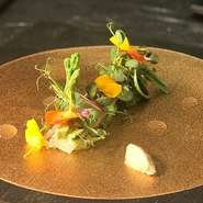 料理に使用する食材は、旬の国産ものが一番。日本ならではの四季を大切に、その時期のもっともよい食材を、全国各地から選り抜き、仕入れています。日本の食材、イタリアの技法でホンダ料理を追求しています。