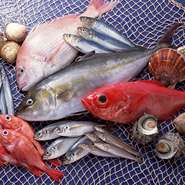 急激に深さを増す富山湾は、ホタルエビやシロエビ、深海魚のゲンゲなど独特の魚種に恵まれ「天然の生け簀」と言われています。富山から毎日送られる魚介類は富山弁で「キトキト」と表現される新鮮のそのものです。