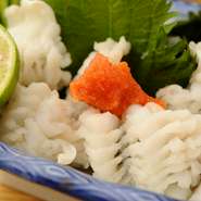 旬の食材が楽しめる【あかちょうちん】。「ハモ」も季節の味覚のひとつです。四季折々に訪れたいお店です。